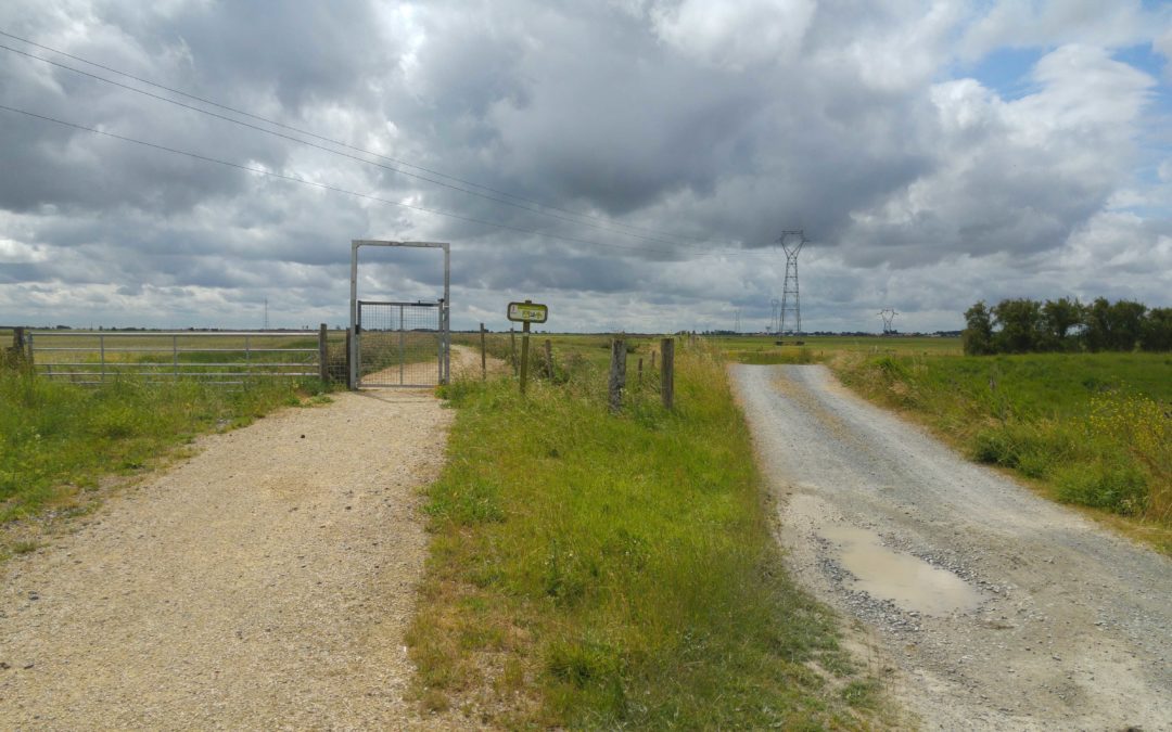 Étape 4 : Jard sur mer – La Rochelle (tout plat !)