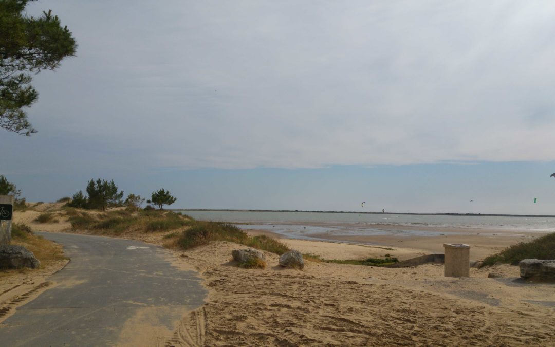 Étape 5 : La Rochelle – La Palmyre (tentatives de raccourcis)