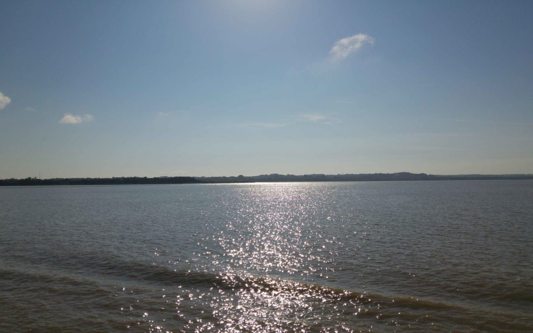 Étape 6 : de la Vélodyssée au canal des deux mers (La Palmyre – Braud et Saint Louis)