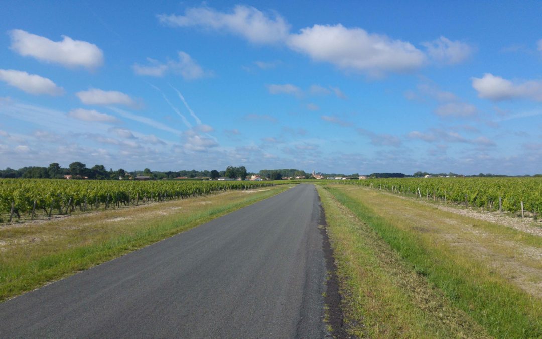Étape 7 : Braud et Saint Louis – Bordeaux